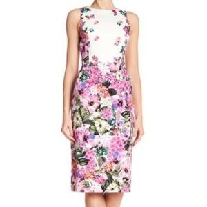 MAGGY LONDON FLORAL GARDEN COTTON SHEATH DRESS